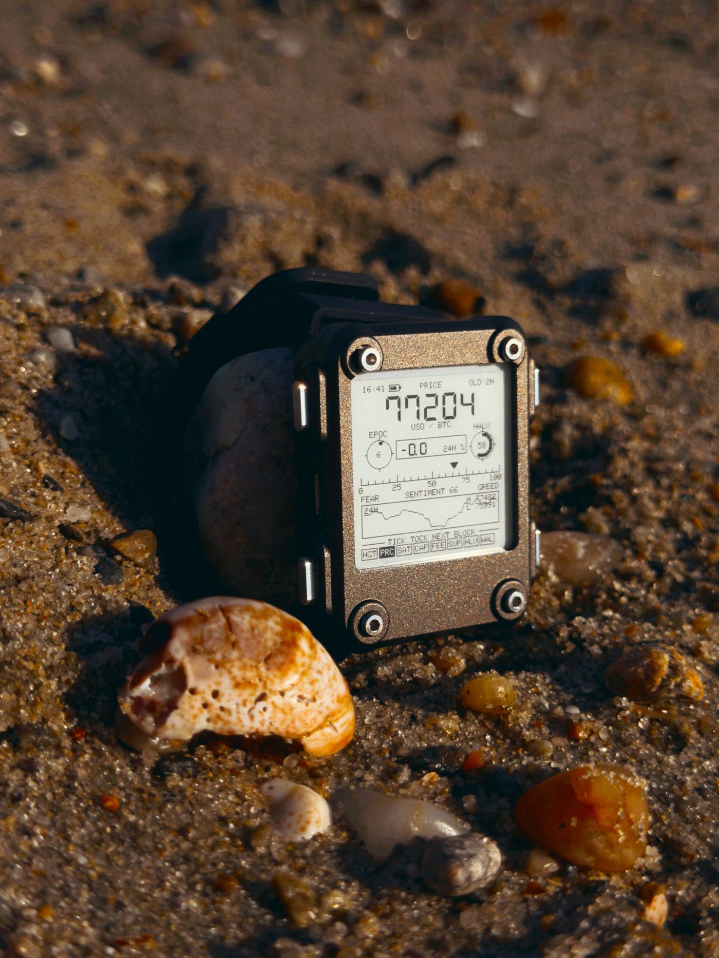 Price mode, propped against a stone at low sun